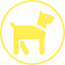 Pet a Day Logo