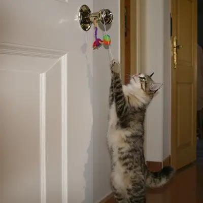 Playful Munchkin Cat Batting Door Toy