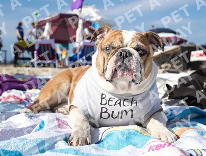 Beach Bum Bulldog Lounging on a Sunny Day